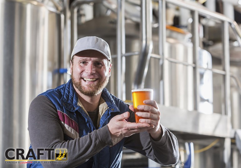 rise of craft beer canada